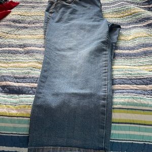 Gloria Vanderbilt Amanda 20W 3 pair.